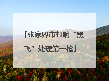 张家界市打响“黑飞”处理第一枪