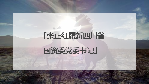 张正红履新四川省国资委党委书记
