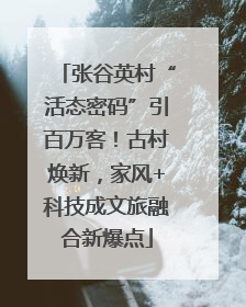 张谷英村“活态密码”引百万客！古村焕新，家风+科技成文旅融合新爆点
