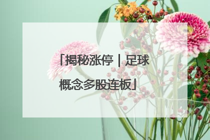 揭秘涨停｜足球概念多股连板