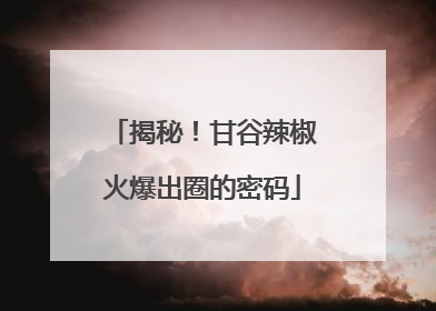 揭秘！甘谷辣椒火爆出圈的密码