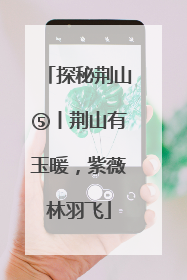 探秘荆山⑤丨荆山有玉暖，紫薇林羽飞
