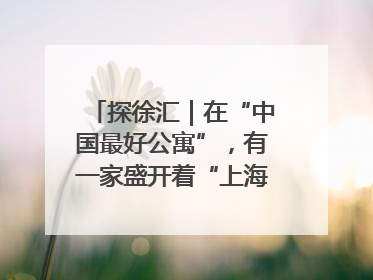 探徐汇｜在“中国最好公寓”，有一家盛开着“上海玫瑰”的书店