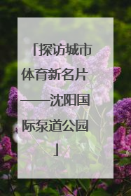 探访城市体育新名片——沈阳国际泵道公园