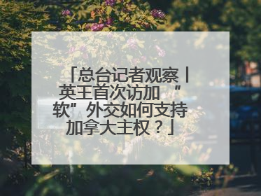 总台记者观察丨英王首次访加 “软”外交如何支持加拿大主权？