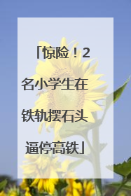 惊险！2名小学生在铁轨摆石头逼停高铁