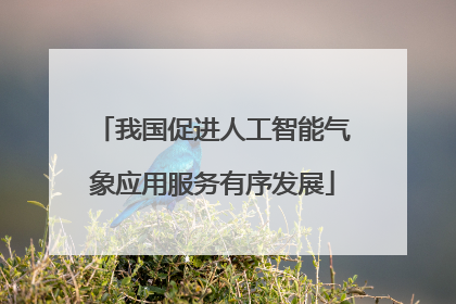 我国促进人工智能气象应用服务有序发展