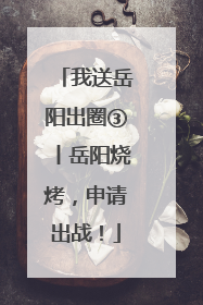 我送岳阳出圈③丨岳阳烧烤，申请出战！