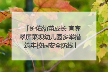护佑幼苗成长 宜宾翠屏菜坝幼儿园多举措筑牢校园安全防线