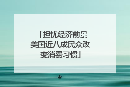 担忧经济前景 美国近八成民众改变消费习惯