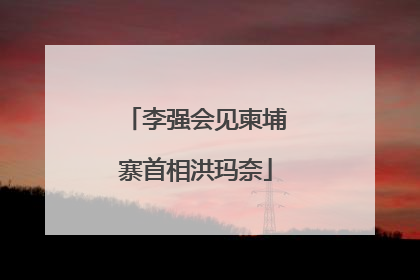 李强会见柬埔寨首相洪玛奈