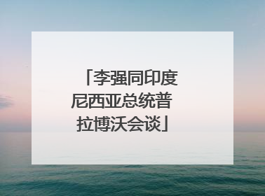 李强同印度尼西亚总统普拉博沃会谈