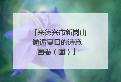 来德兴市新岗山 邂逅夏日的诗意画卷（图）