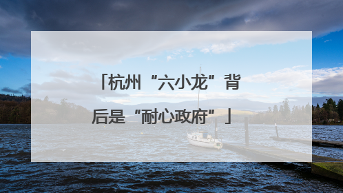 杭州“六小龙”背后是“耐心政府”