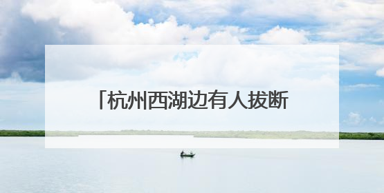 杭州西湖边有人拔断松鼠尾巴？西湖景区：正展开调查核实