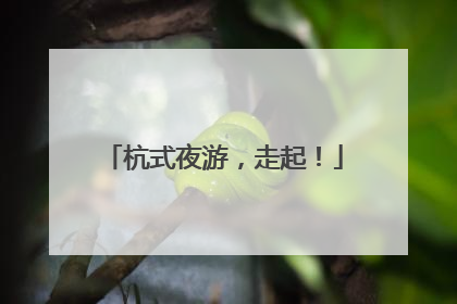 杭式夜游，走起！