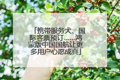 携带服务犬、国际客票预订……鸿蒙版中国国航让更多用户心愿成真