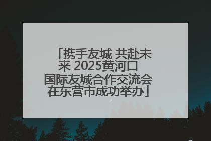 携手友城 共赴未来 2025黄河口国际友城合作交流会在东营市成功举办