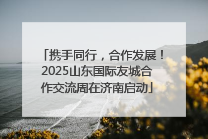 携手同行，合作发展！2025山东国际友城合作交流周在济南启动