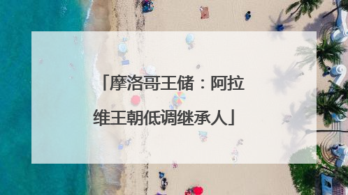 摩洛哥王储：阿拉维王朝低调继承人