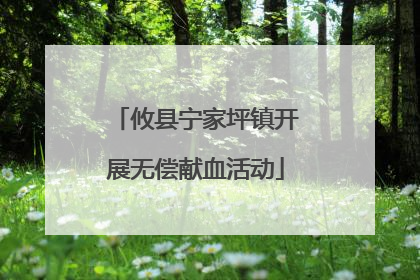 攸县宁家坪镇开展无偿献血活动