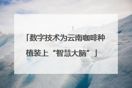 数字技术为云南咖啡种植装上“智慧大脑”