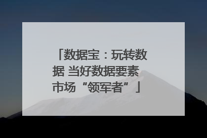 数据宝：玩转数据 当好数据要素市场“领军者”