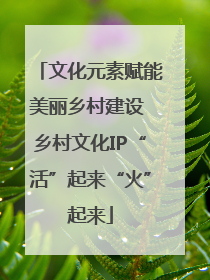 文化元素赋能美丽乡村建设 乡村文化IP“活”起来“火”起来
