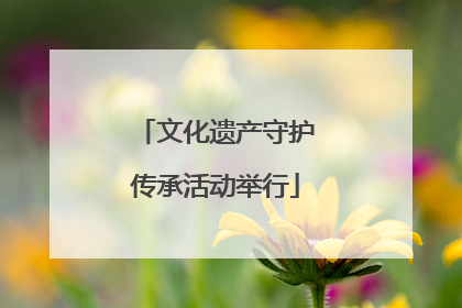 文化遗产守护传承活动举行