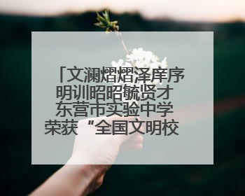 文澜熠熠泽庠序 明训昭昭毓贤才 东营市实验中学荣获“全国文明校园”称号