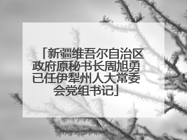 新疆维吾尔自治区政府原秘书长周旭勇已任伊犁州人大常委会党组书记