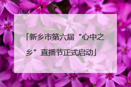 新乡市第六届“心中之乡”直播节正式启动