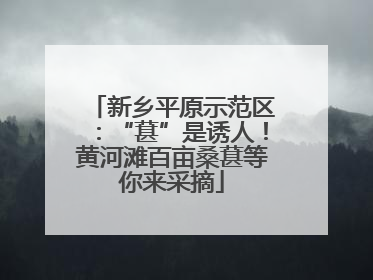 新乡平原示范区：“葚”是诱人！黄河滩百亩桑葚等你来采摘