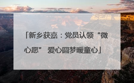 新乡获嘉：党员认领“微心愿” 爱心圆梦暖童心