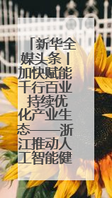 新华全媒头条丨加快赋能千行百业 持续优化产业生态——浙江推动人工智能健康有序发展观察