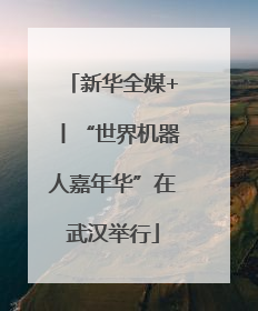 新华全媒+丨“世界机器人嘉年华”在武汉举行