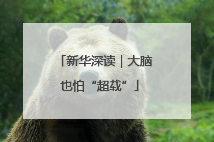 新华深读｜大脑也怕“超载”