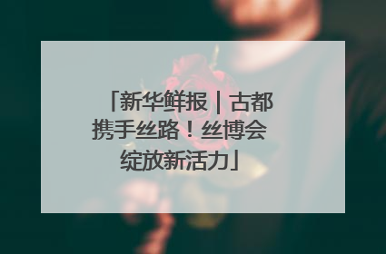 新华鲜报｜古都携手丝路！丝博会绽放新活力