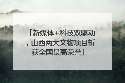 新媒体+科技双驱动，山西两大文物项目斩获全国最高荣誉