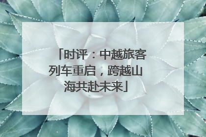 时评：中越旅客列车重启，跨越山海共赴未来
