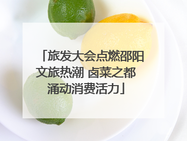旅发大会点燃邵阳文旅热潮 卤菜之都涌动消费活力