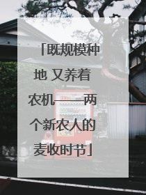 既规模种地 又养着农机——两个新农人的麦收时节