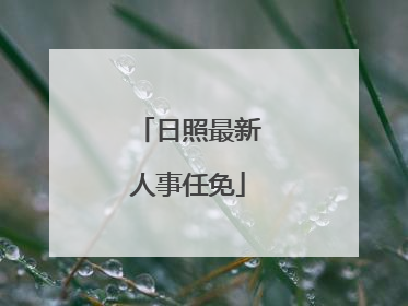 日照最新人事任免
