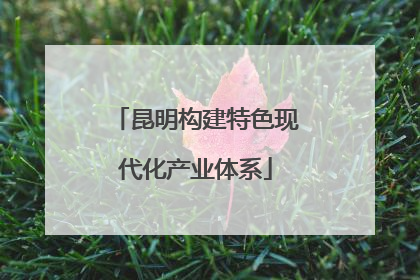 昆明构建特色现代化产业体系
