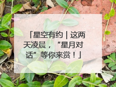 星空有约｜这两天凌晨，“星月对话”等你来赏！