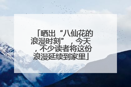 晒出“八仙花的浪漫时刻”，今天，不少读者将这份浪漫延续到家里