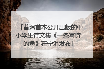 普洱首本公开出版的中小学生诗文集《一条写诗的鱼》在宁洱发布