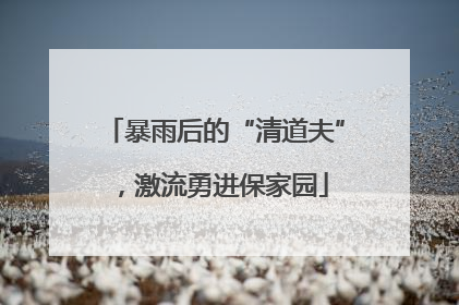 暴雨后的“清道夫”，激流勇进保家园