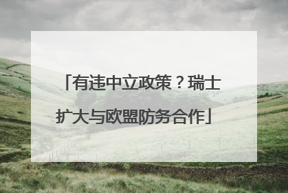 有违中立政策？瑞士扩大与欧盟防务合作