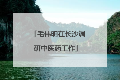 毛伟明在长沙调研中医药工作
